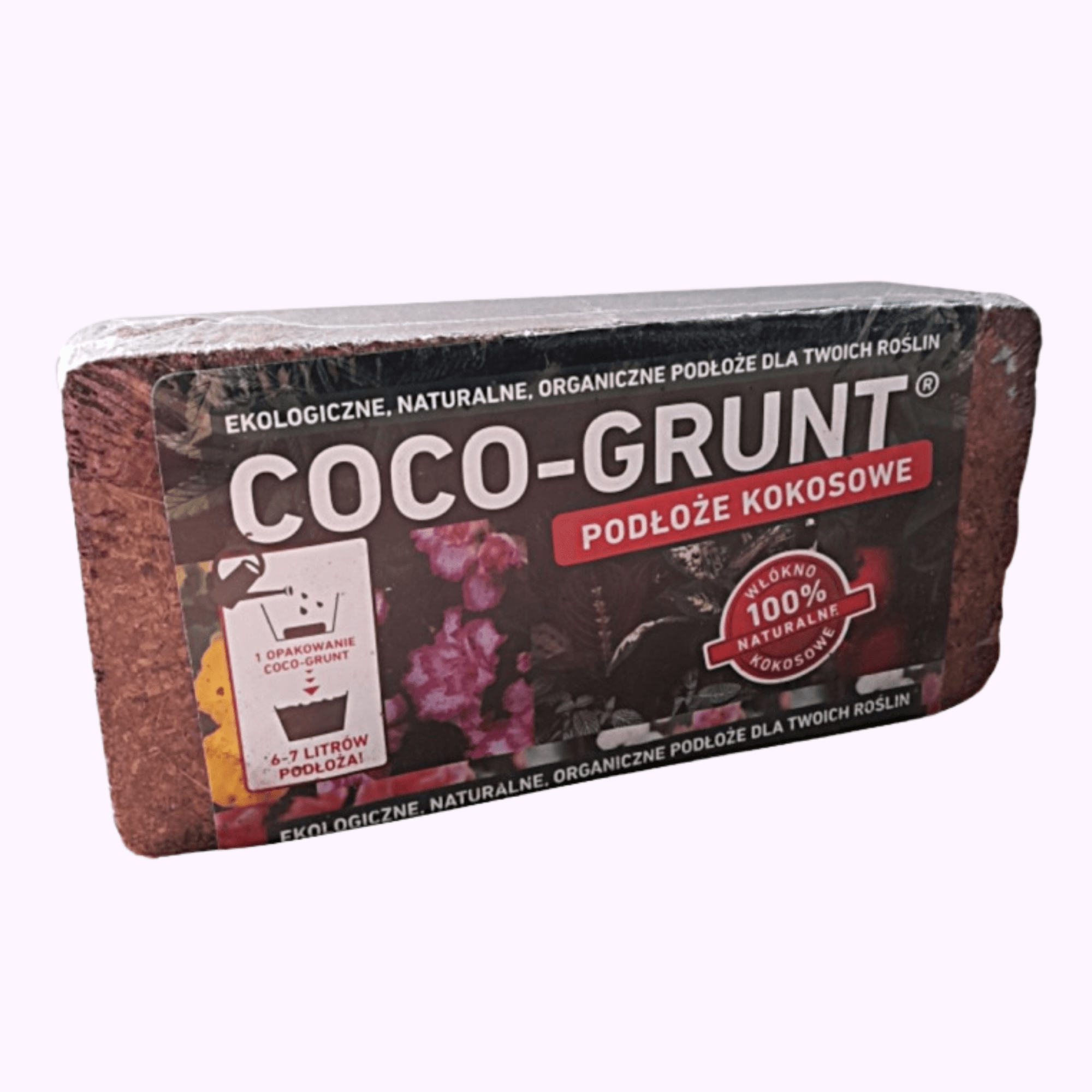 GRUNTIVO COCO